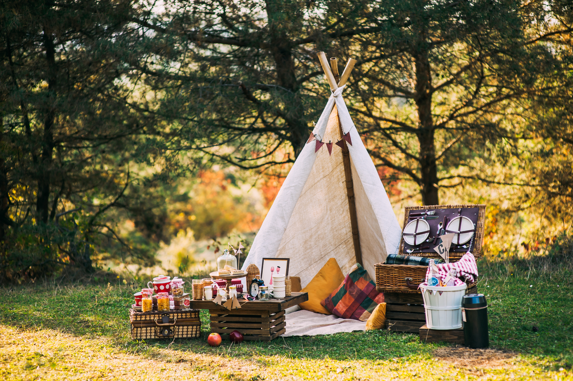 picnic scenery
